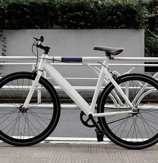 Hybrid Bike